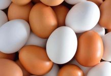 Measuring egg shell quality