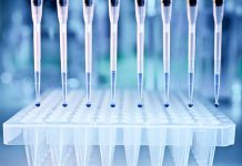 World Veterinary Day – celebrating the value of vaccination