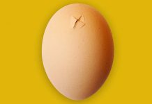 Air cell up when setting eggs!