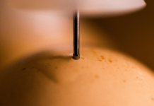 Research provides new understanding of ILT vaccines