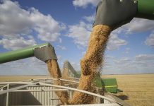 EU grains, oilseeds and feed value chain partners for a sustainable production