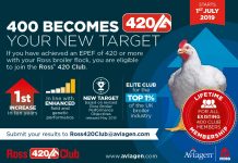 New Ross UK 420 Club broiler raises the bar on success