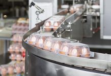 Dynamics and patterns of the egg industry in the G19 countries between 2006 and 2016 (Part 1)