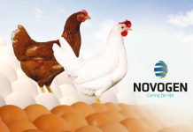 NOVOGEN asserts its brand strategy