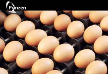 Prinzen’s new egg Carton Packing Module