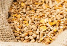 The role of mechanistic theory in delaying the development of NSPases