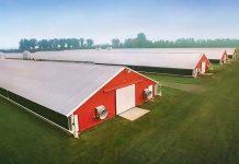 Feeding broilers of the future