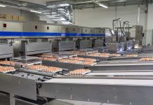 Dynamics and patterns of the egg industry in the G19 countries between 2006 and 2016 (Part 2)