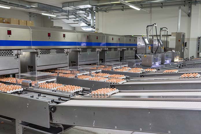 Dynamics and patterns of the egg industry in the G19 countries between 2006 and 2016 (Part 2)