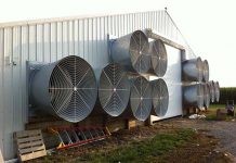 Ventilation of poultry houses with outdoor access