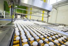 Dynamics and patterns of the egg industry in Latin America