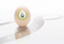 5 easy steps to check fumigation efficacy