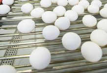 Changing patterns of global egg trade between 2006 and 2016 – Part 2