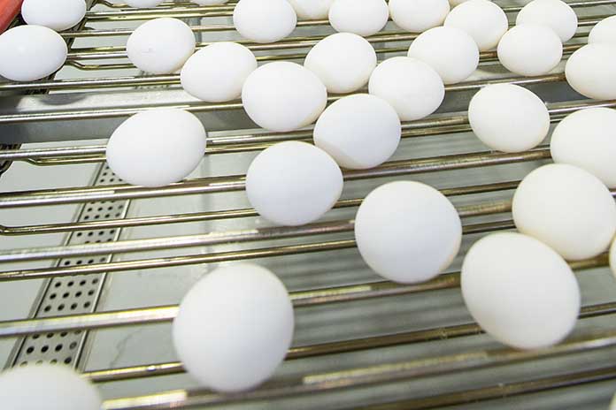 Changing patterns of global egg trade between 2006 and 2016 – Part 2