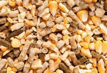 A new guidance for testing of feed ingredients