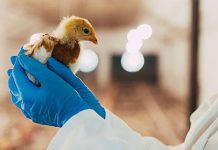 Socorex launches its new website