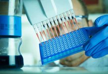 Host and microbial biomarkers for intestinal health and disease in broilers