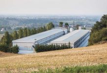 Big data for poultry – first part