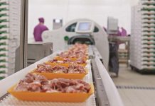 A new research shows persistent Salmonella strains on processing equipment