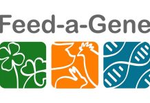 Which innovations for European livestock?