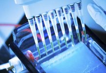 Whole Genome Sequencing