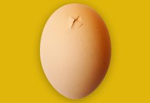 Air cell up when setting eggs!