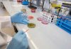 EU audit flags persistent Salmonella monitoring gaps in Poland’s poultry sector