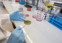 Salmonella prevention strategies and influences of sampling method selection