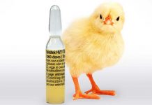 Boehringer Ingelheim’s U.S. launched a vaccine to protect poultry from 3 diseases