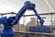 Dynamics and patterns of the egg industry in the Emerging Market Countries between 2007 and 2017