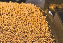 Potential to produce poultry feed from food wastes