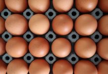 Global Egg Nutrition expert group formed