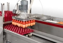 New Prinzen 50, advanced design and technology for egg packing