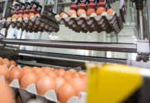 Patterns of trade flows in egg exports and imports – Part 4