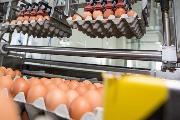 Patterns of trade flows in egg exports and imports – Part 4
