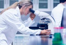 Infectious bursal disease viruses may swap genetic material during infection