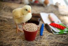 Antimicrobial stewardship. The path to least resistance