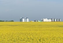 FEFAC response to farm-to-fork and biodiversity strategies