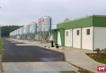 Codaf, producers of advanced feeding systems for poultry