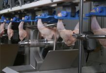Easy-entry poultry cut-up automation