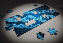 The effects of diet and epigenetic alterations on the gut microbiome, inflammation and poultry production