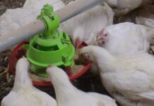 AZA INTERNATIONAL’s systems: easy, adaptable and durable