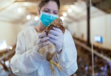 2020 National Safety Conference for the Poultry Industry
