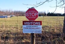 How will the COVID-19 pandemic affect the livestock industry?