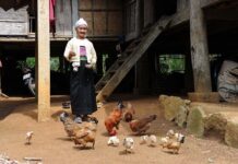 Dynamics and patterns of the egg industry in the Emerging Market Countries between 2007 and 2017