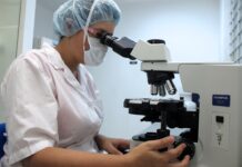 Researchers characterize selected variant Avian Reovirus strains