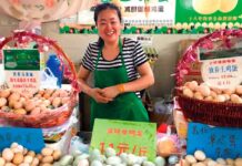 Emerging Market Countries: dynamics of the egg industry