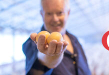 Ask the Expert Webinar Series organized by Cobb Europe