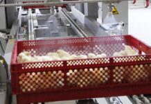 Big problem – simple solution in the hatchery