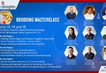 Aviagen Asia-Pacific presents “Brooding Masterclass” webinar